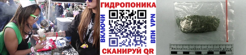 Бошки Шишки марихуана  Купить закладки  Новозыбков 